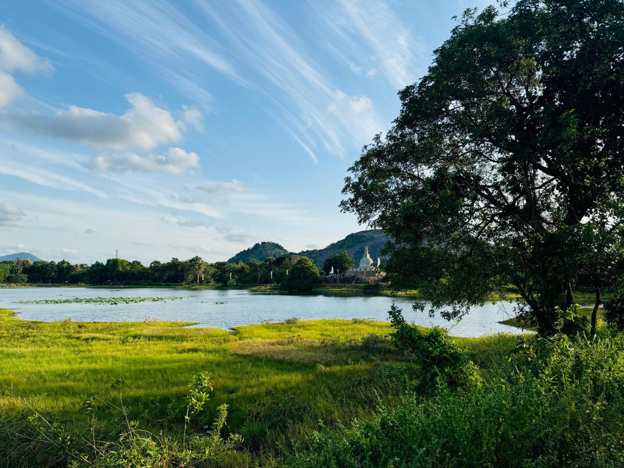 The Green Edge Dambulla Exteriér fotografie